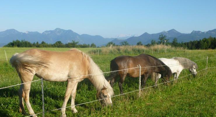 Gaestehaus Annemarie Rimsting Dış mekan fotoğraf